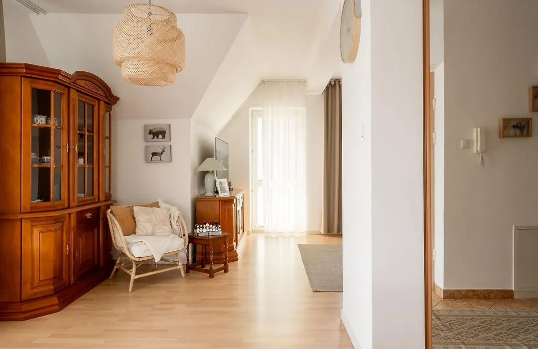 Giewont Mountain View Apartment-1